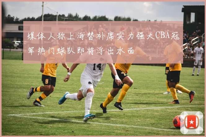 媒体人称上海替补席实力强大CBA冠军热门球队即将浮出水面